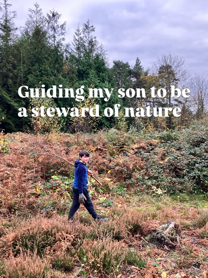 Growing up through WWOOF